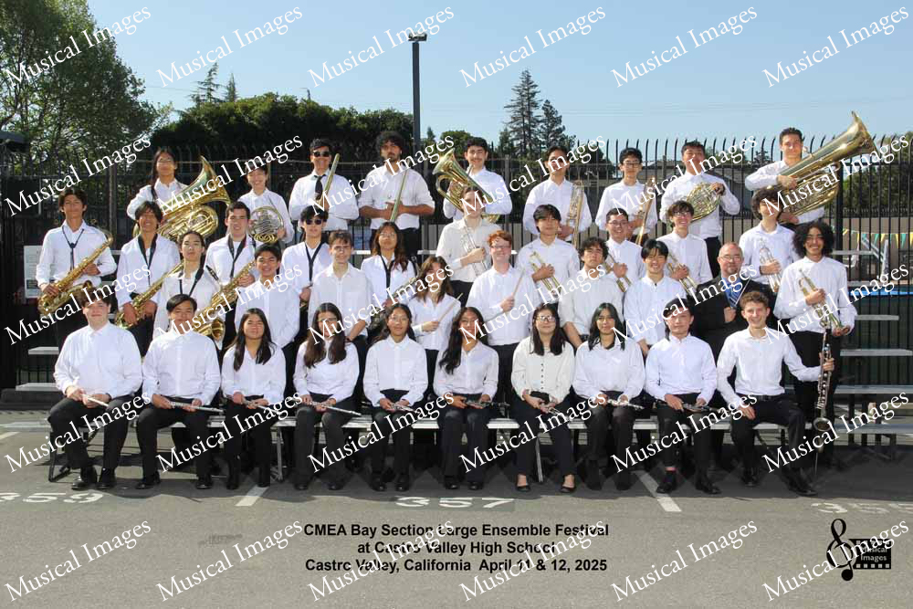 Musical Images